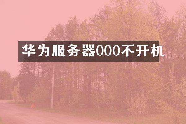 华为服务器000不开机