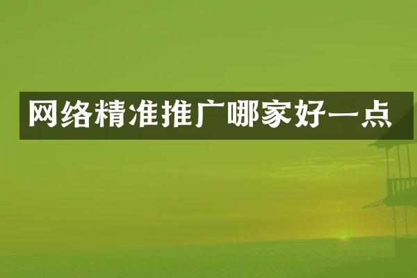 网络精准推广哪家好一点