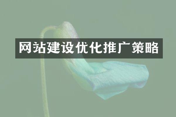 网站建设优化推广策略