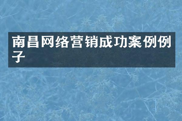 南昌网络营销成功案例例子
