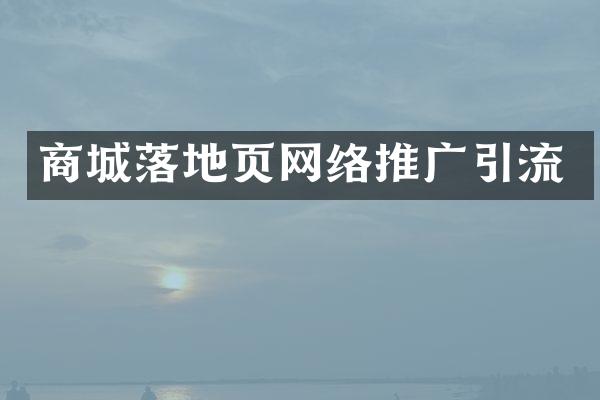 商城落地页网络推广引流