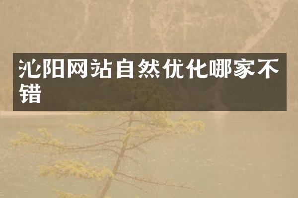 沁阳网站自然优化哪家不错