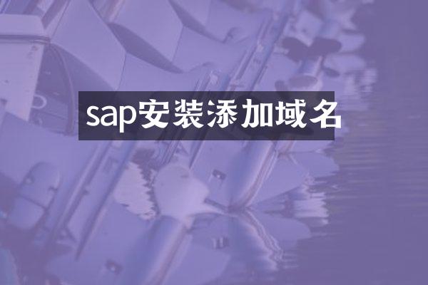 sap安装添加域名