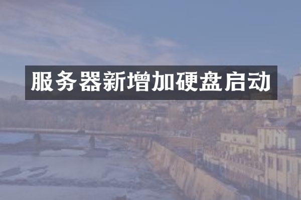 服务器新增加硬盘启动
