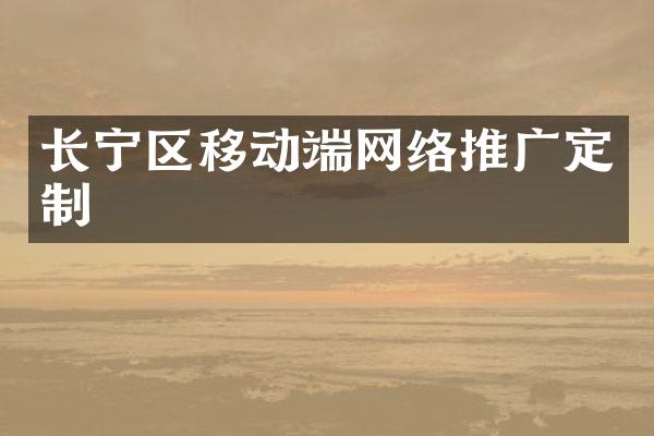 长宁区移动端网络推广定制