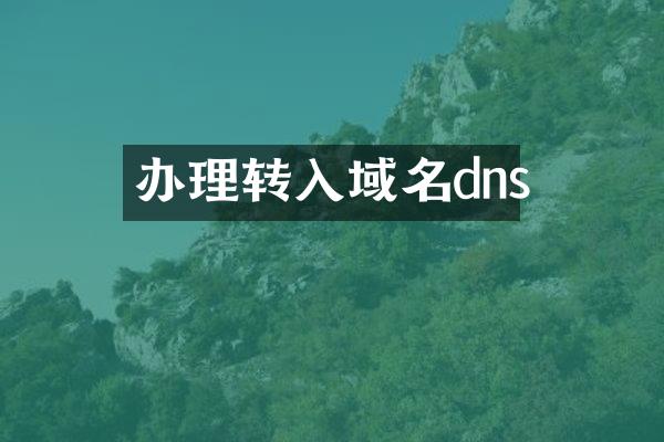 办理转入域名dns
