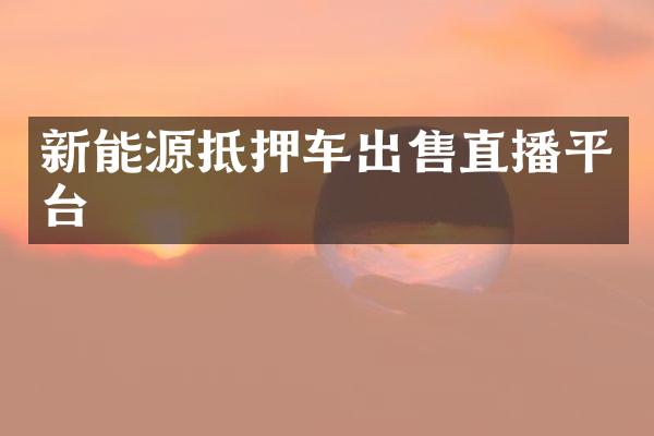 新能源抵押车出售直播平台
