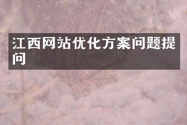 江西网站优化方案问题提问