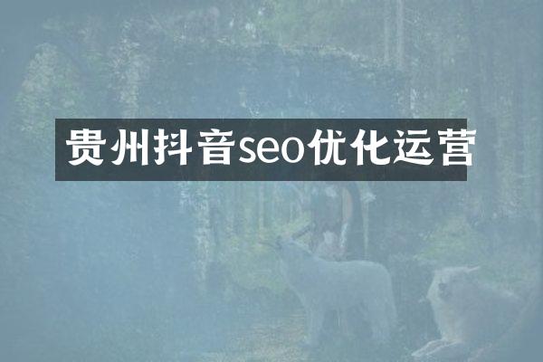 贵州抖音seo优化运营