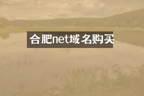合肥net域名购买