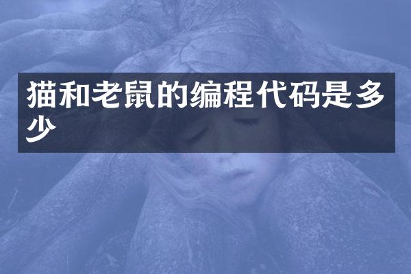 猫和老鼠的编程代码是多少