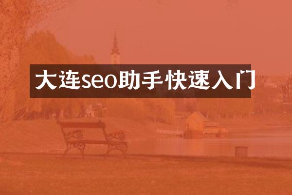 大连seo助手快速入门