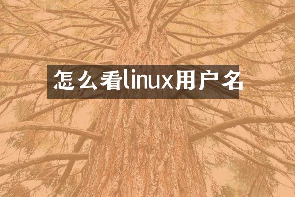 怎么看linux用户名