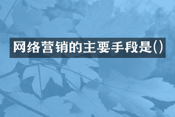网络营销的主要手段是()