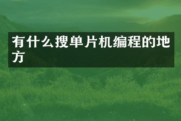 有什么搜单片机编程的地方