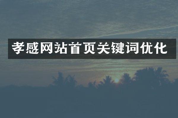 孝感网站首页关键词优化