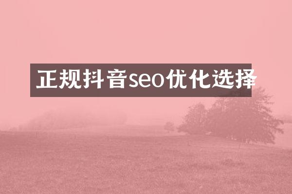 正规抖音seo优化选择