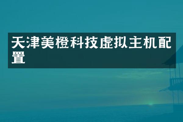 天津美橙科技虚拟主机配置
