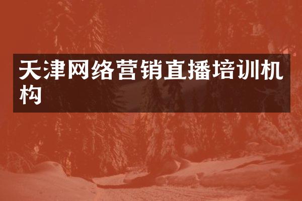 天津网络营销直播培训机构