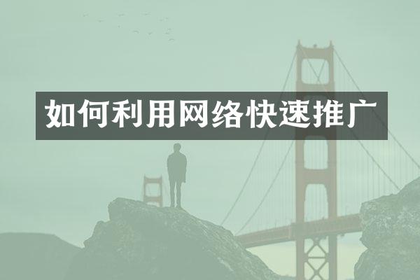 如何利用网络快速推广