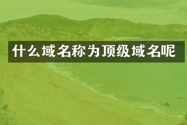 什么域名称为顶级域名呢