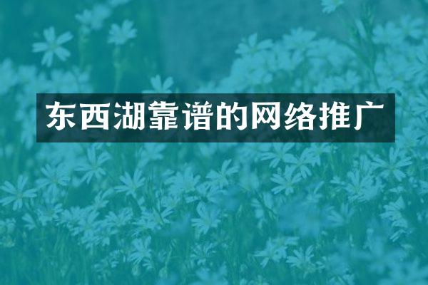 东西湖靠谱的网络推广