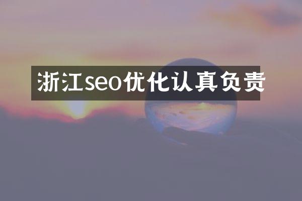 浙江seo优化认真负责
