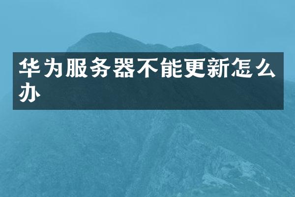 华为服务器不能更新怎么办