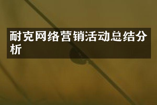 耐克网络营销活动总结分析