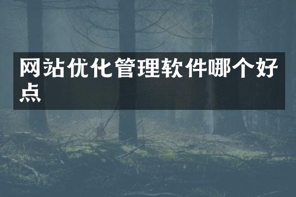 网站优化管理软件哪个好点