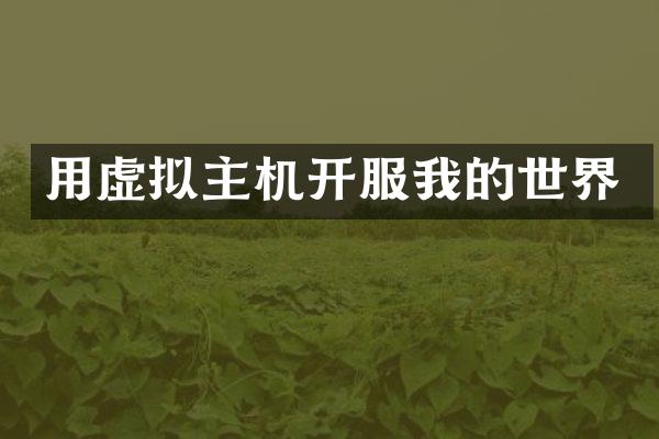 用虚拟主机开服我的世界