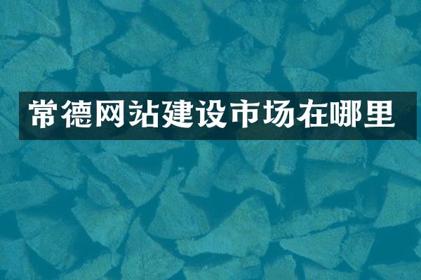 常德网站建设市场在哪里