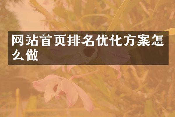 网站首页排名优化方案怎么做