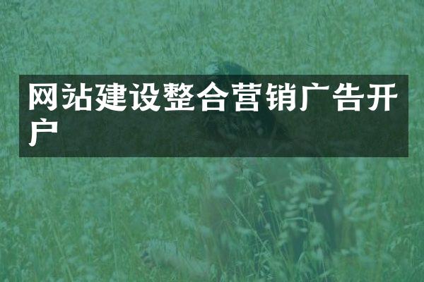 网站建设整合营销广告开户