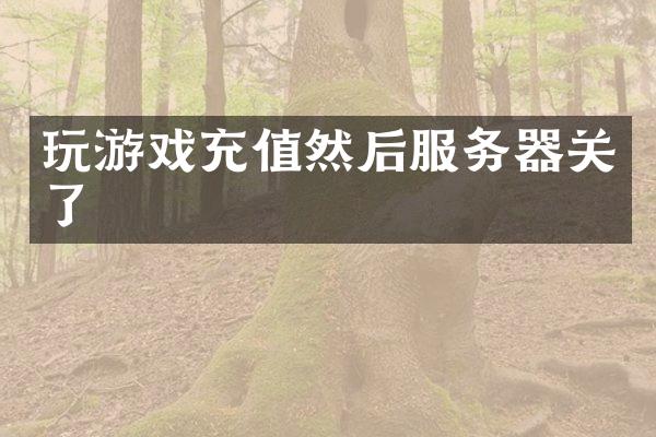 玩游戏充值然后服务器关了