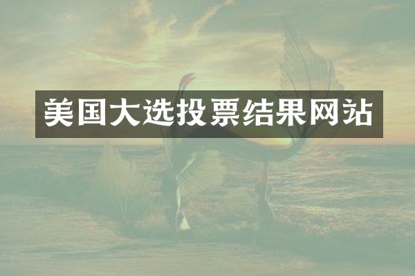 美国大选投票结果网站