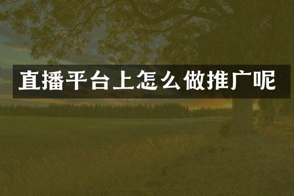 直播平台上怎么做推广呢