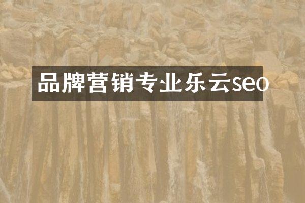 品牌营销专业乐云seo