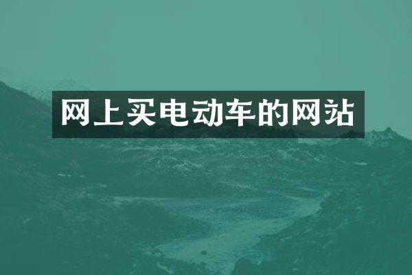网上买电动车的网站