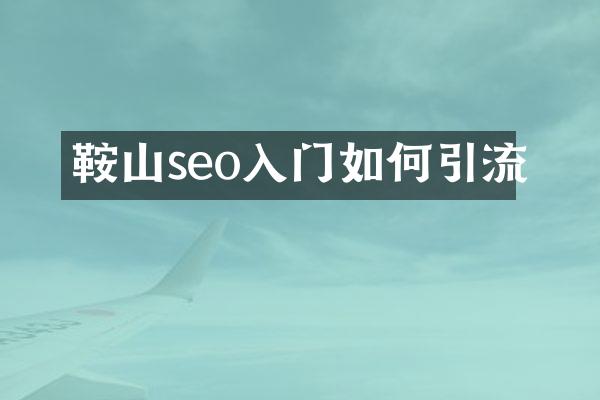 鞍山seo入门如何引流