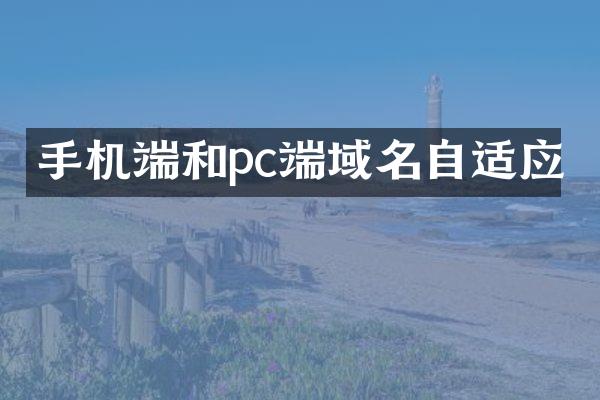 手机端和pc端域名自适应