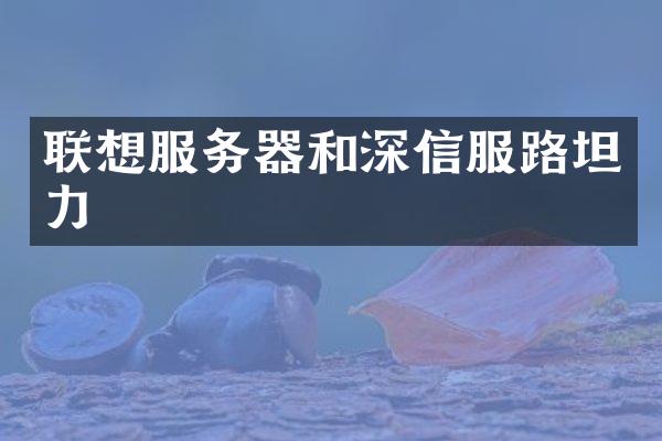 联想服务器和深信服路坦力