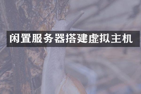 闲置服务器搭建虚拟主机