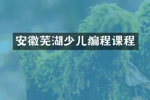 安徽芜湖少儿编程课程