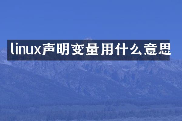 linux声明变量用什么意思
