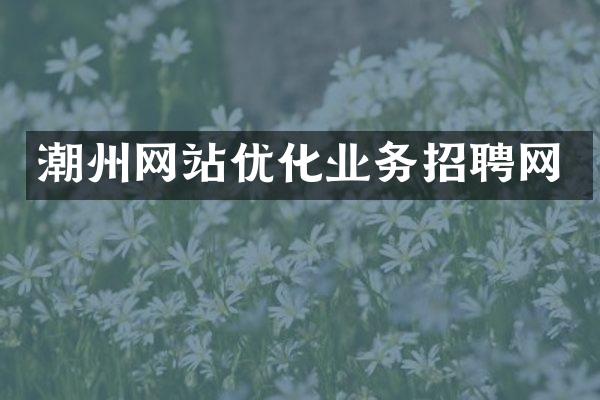 潮州网站优化业务招聘网