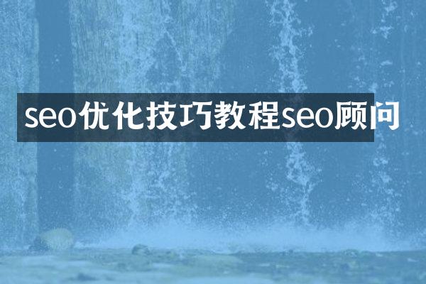 seo优化技巧教程seo顾问