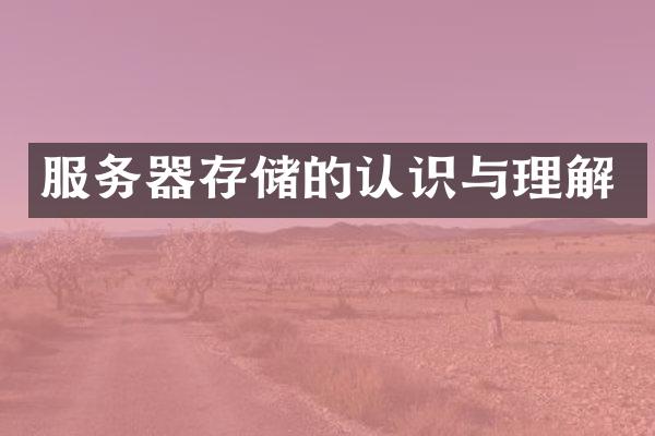 服务器存储的认识与理解