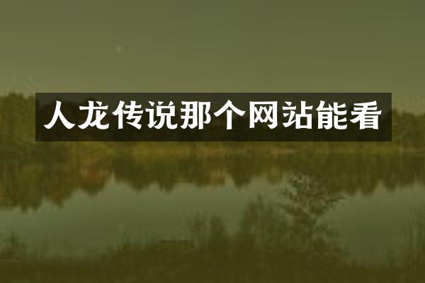 人龙传说那个网站能看