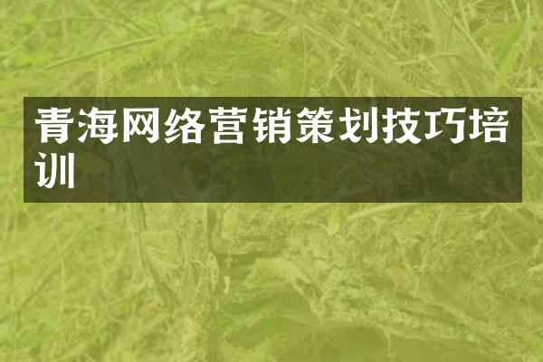 青海网络营销策划技巧培训